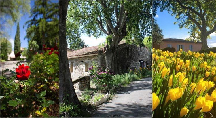 Le Hameau De L'Etoile Saint-Martin-de-Londres Exterior foto